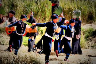 救命！牛腿琴的来历居然这么狗血