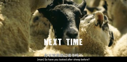 #双子座+火属性=火焰双子 #