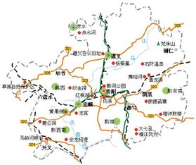 1. 昂黔灵山的猴子：那个让人又爱又恨的家伙