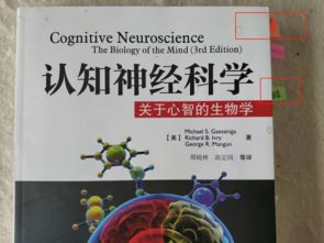 书里爬出恶鬼