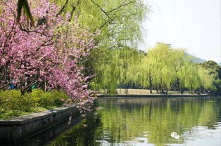 苏堤那些不为人知的黑暗历史