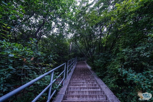 园林景观取名命名总汇参考——这就是奥秘吗？