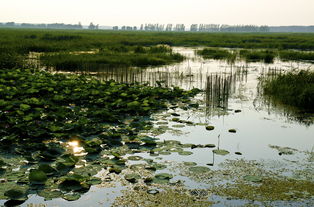 挑对时间比砍价管用！这些
