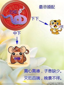 十二生肖婚配有哪些禁忌和注意事项？