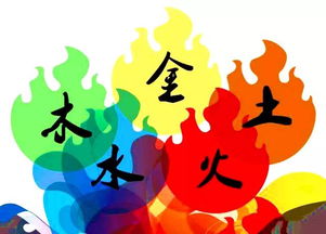 属猪的人对应的五行金木水火土分别是哪一种？