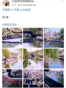 ：春日花溪，不虚此行