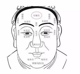 2026年天气预报与额头玄学