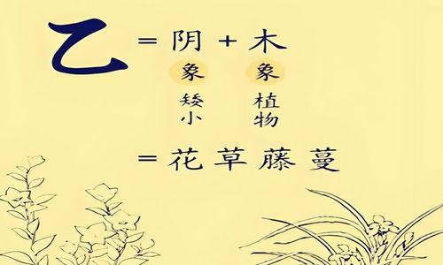 乙木生在寅月身旺吗,乙木生寅月得月令