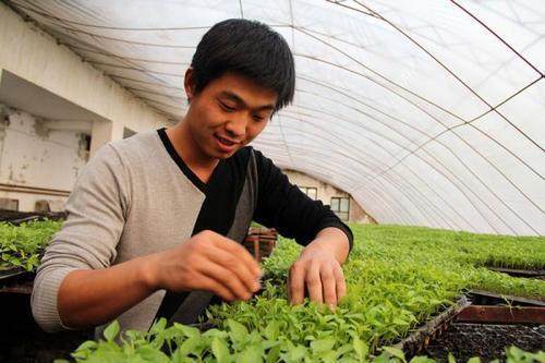 2026年五月种植什么植物的最佳吉日是哪天？掘井的最佳吉日又是哪一天呢？