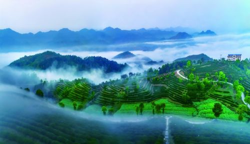 四、 最佳游玩季节