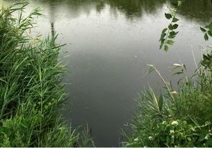 东营钓鱼争议：天堂还是陷阱？