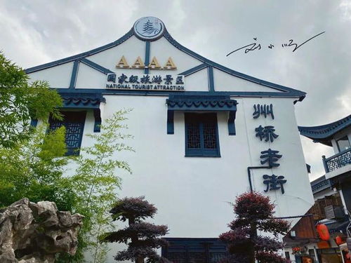 州桥老街与法华塔：流连忘返的古城
