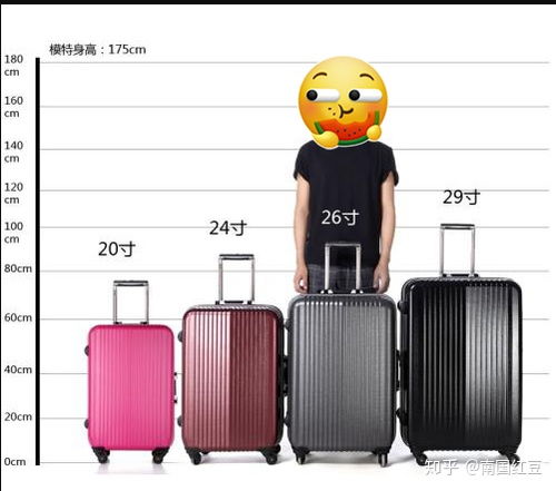 2. 体积小巧