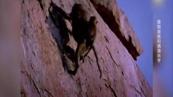 初遇稻草人：风水与星盘的交织