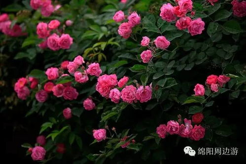 门票价格疯啦！