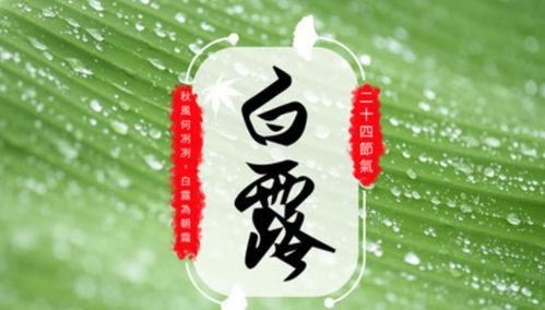 九月八号是星期几？这一天过得怎么样呢？