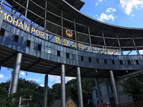 一、引子：一场双雄的旅游革命 🚀🚀🚀（噪音版）