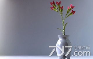 发财树摆放风水有哪些忌讳位置？