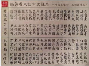 四、 乱七八糟的取名技巧（随手写）🌪️🌪️🌪️