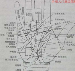 离宫手相十大吉祥手相有哪些特征？