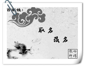 二、   稀有姓氏的奇妙魔法：打破常规