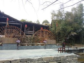 东山公墓：一堆石头和回忆
