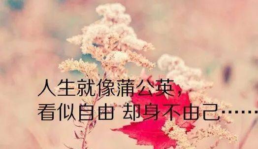 《冬日裹着雪粒子唠嗑：那一些年俺跟起名改名较过劲&圣诞朋友圈那点破事》