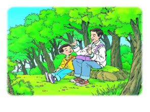 森林公园：与钱包的生死博弈