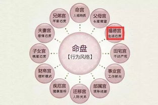 贪狼星：野马脱缰型