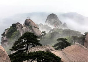 1. 根据预算