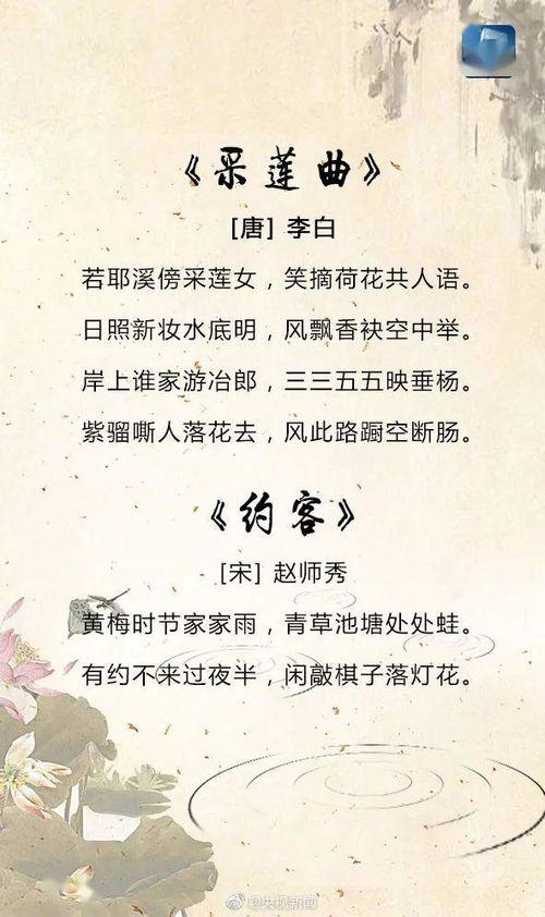 一、先说说尼忙古姓的风骨与历史小碎片