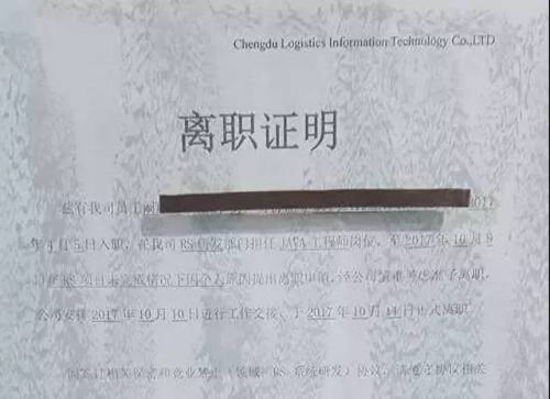 枕骨：聪明绝顶的证明