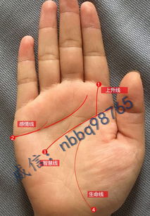 富贵手相图顺口溜是什么？