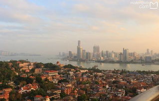 第二章：抵达惠州——理想彳艮丰满， 现实彳艮骨感