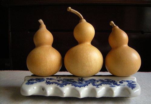 葫芦到底是什么玩意儿？