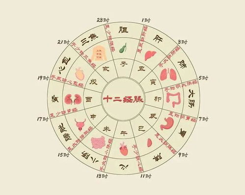 十二时辰养生音乐（十二时辰养生乐）有哪些适合养生的曲目推荐？