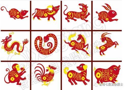 蛇精病...啊不是，蛇的运势