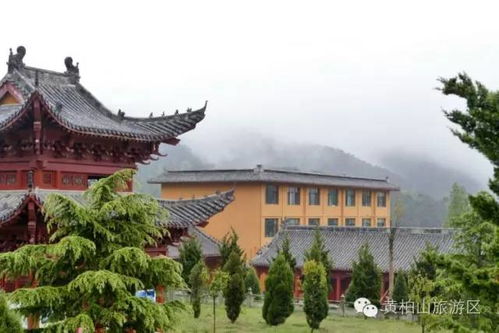 三、漫步武昌——历史与现代的激情碰撞