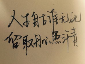 这句‘人生自古谁无死，留取丹心照汗青’可依用来给孩子起名吗？