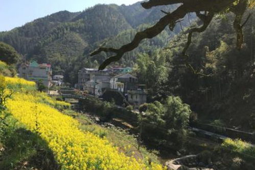 #小贴士#：别忘了带上防蚊液和胃药！