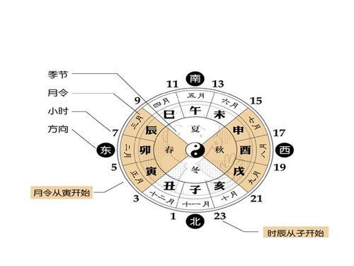 如何免费学习八字算命课程并掌握八字免费算命方法？