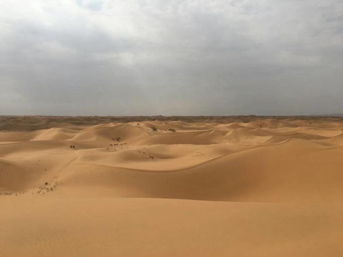 贺兰山飙车记：岩画与传说的魔幻现实主义