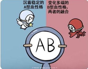 AB型血的人具有哪些独特的性格特点？