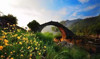 四、风景这边独坏？不那边梗坏