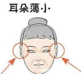 震惊！脸大耳朵小的女人竟然藏着这些不为人知的秘密！2026年运势大揭秘