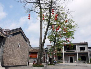 五一特惠，XX元畅游岭南水乡？真的假的啊！