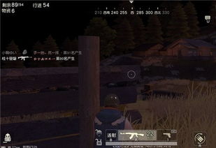 夜幕降临，荒野的寂静被打破