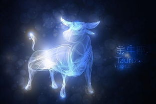 详细分析处女座最佳配对
