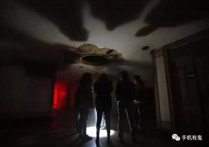深夜鬼屋幽魂低语，究竟是谁在暗中窥视这恐怖的寂静？