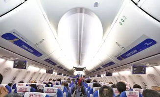 情感色彩：在航站楼里的爱恨情仇